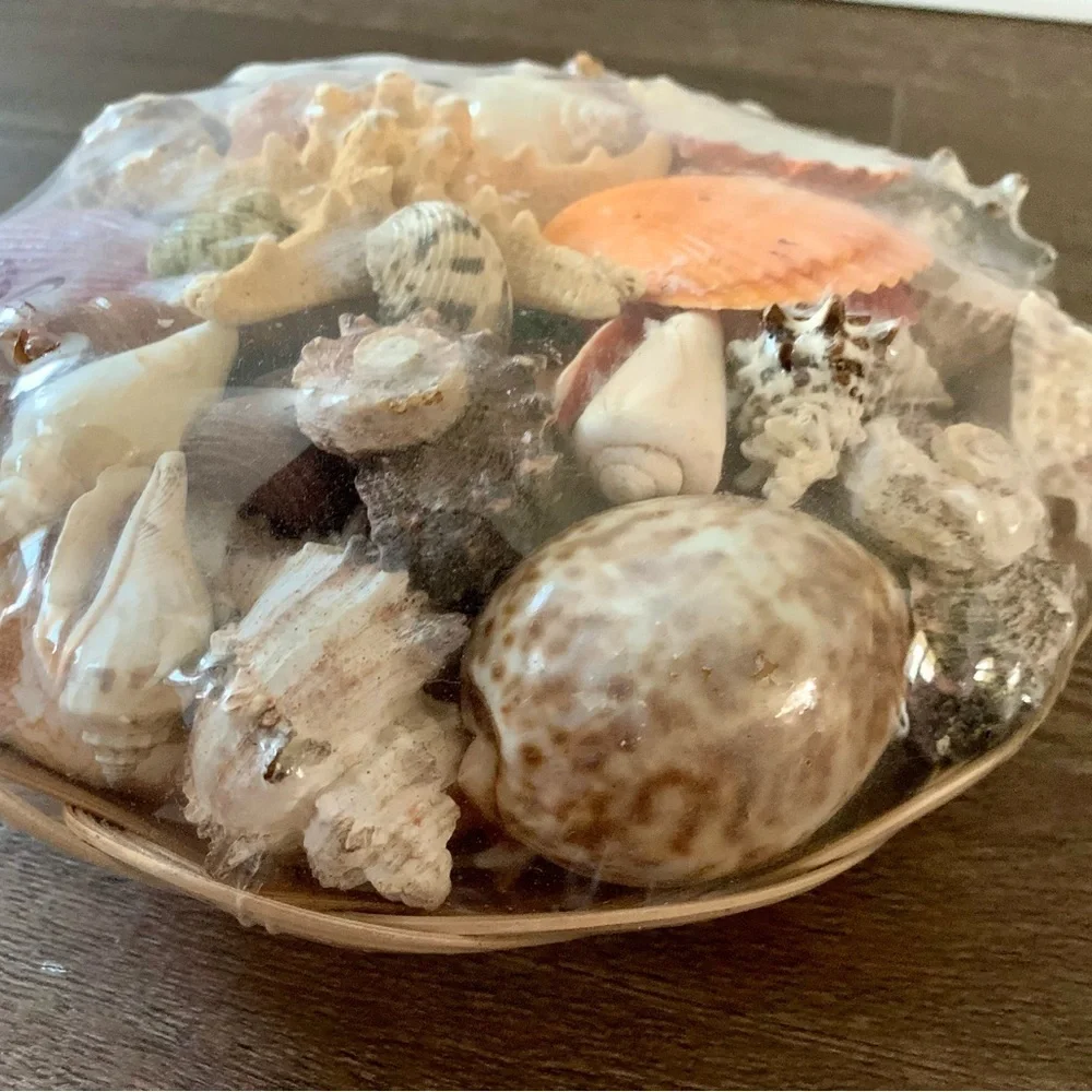 Beach Basket assorted sea Shells